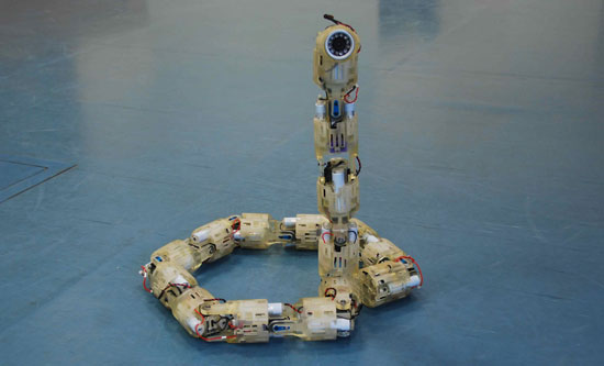 The Israeli Defense Forces are seriously working on a robotic snake for tactical usage. The snake would be camouflaged to appear like a real snake and has the ability to deliver bombs, reconnaissance, and if the snake is destroyed, it has the ability to spawn into smaller snakes - which can then operate independently on its own. In the current stage, the snake is slow in movement, but within time,